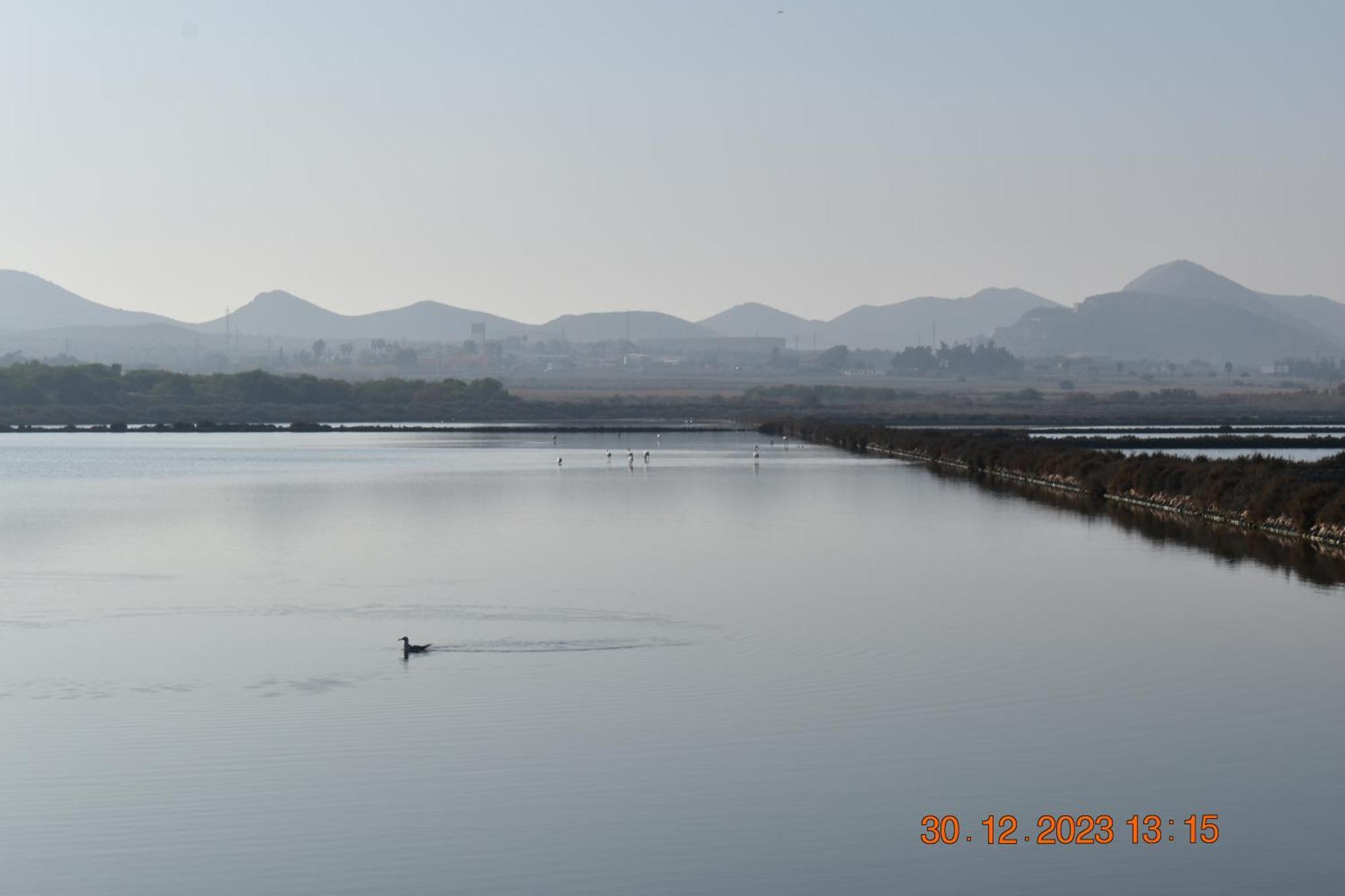 Apart Turisticos Marine Rest La Manga Mar Menor Piscinas Privadas Playa Paraiso  المظهر الخارجي الصورة