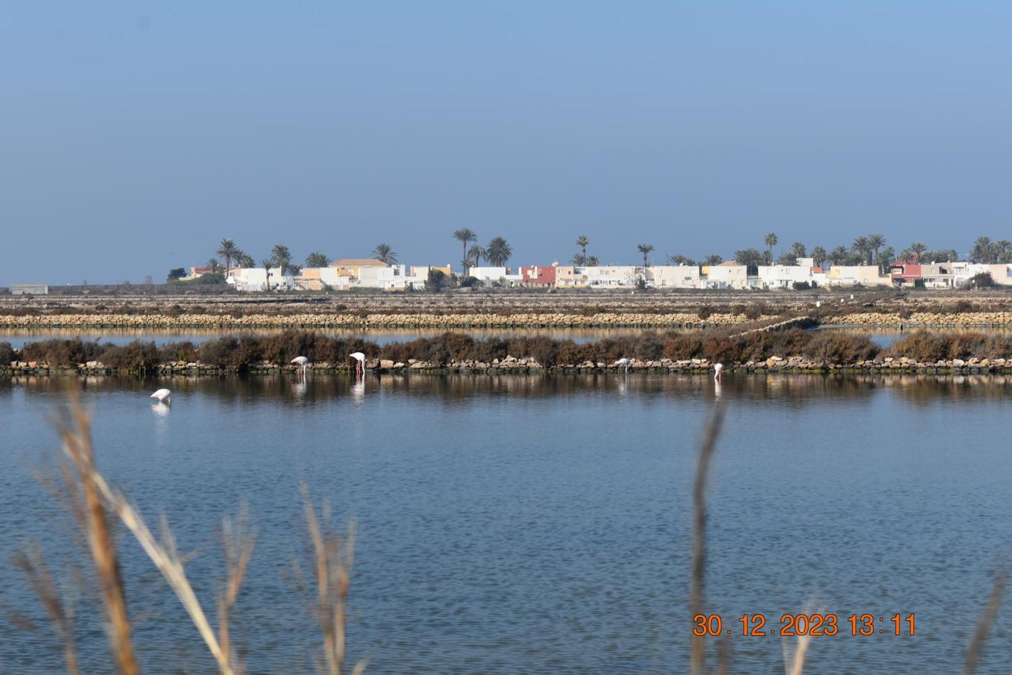 Apart Turisticos Marine Rest La Manga Mar Menor Piscinas Privadas Playa Paraiso  المظهر الخارجي الصورة