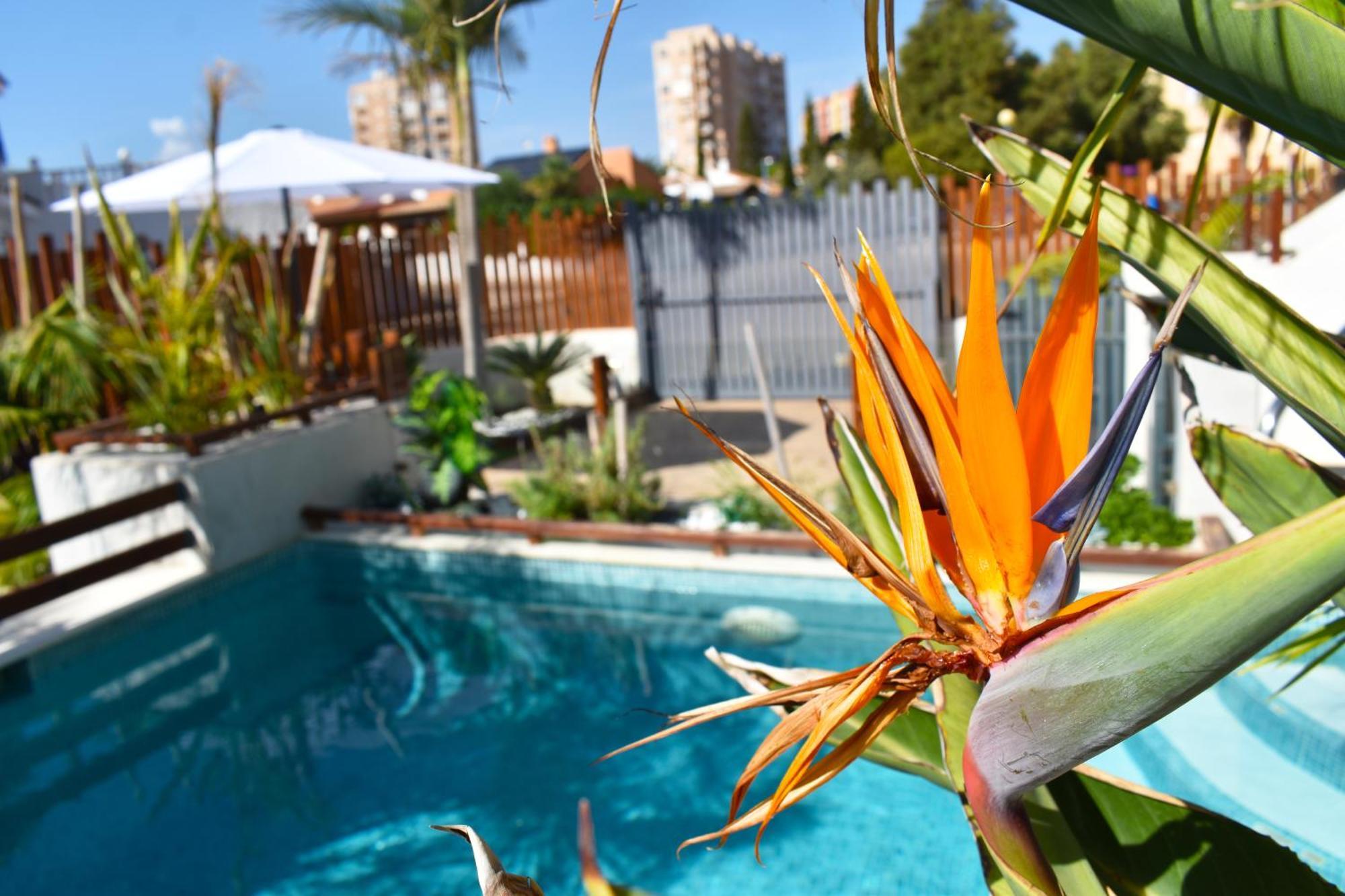 Apart Turisticos Marine Rest La Manga Mar Menor Piscinas Privadas Playa Paraiso  المظهر الخارجي الصورة